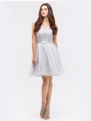 30-3622 Sleeveless Fit and Flare Cocktail Dress, Silver
